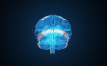 Investigan un nuevo mecanismo de neurotoxicidad mediado por ARN pequeños en la enfermedad de Huntington