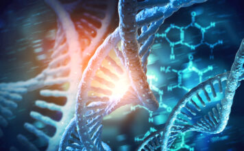 La terapia génica SGT-001 muestra un beneficio continuo en niños con distrofia muscular de Duchenne