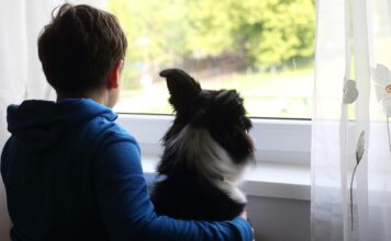 Otro desafío, el desarrollo adecuado de la niñez