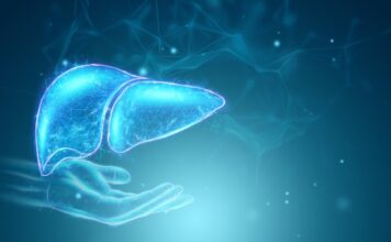 Proponen una nueva estrategia terapéutica para el tratamiento de la enfermedad hepática poliquística