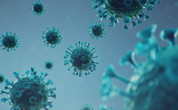 Reino Unido: Los riesgos de resultados graves de COVID-19 no aumentaron en personas con síndrome de Dravet