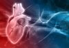 Uso compasivo: Lomecel-B aprobado para el síndrome del corazón izquierdo hipoplásico
