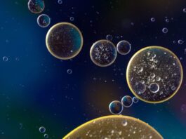 Los científicos crean el primer modelo humano del síndrome de Leigh