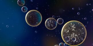 Los científicos crean el primer modelo humano del síndrome de Leigh