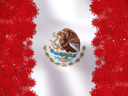 Se cumple un año del coronavirus en México