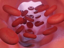 Nuevos datos disponibles en RP-L301 para la deficiencia de piruvato quinasa