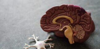 Asociación comienza ensayo clínico ION 363 para la esclerosis lateral amiotrófica por mutación de FUS