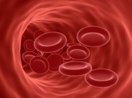 CTX001 para la designación PRIME concedida a la beta talasemia