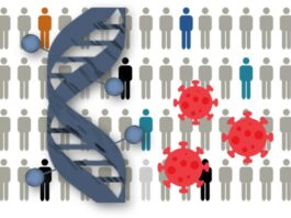 Encuentran perfiles epigenéticos relacionados con la gravedad de COVID-19