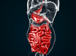 La decisión de la FDA sobre Opdivo con quimioterapia para cánceres gastrointestinales avanzados se tomará el próximo mes