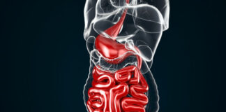 La decisión de la FDA sobre Opdivo con quimioterapia para cánceres gastrointestinales avanzados se tomará el próximo mes