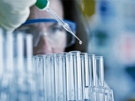 Merck avanza con berzosertib, inhibidor de ATR, en cáncer de pulmón microcítico