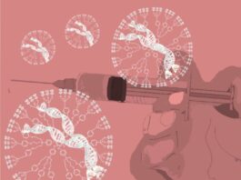 Nuevas terapias para la progeria basadas en oligonucleótidos antisentido