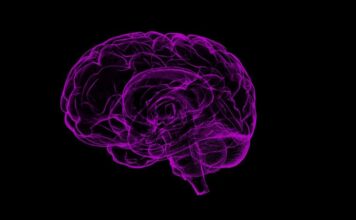 ¿Podría la exposición prenatal a pesticidas causar meduloblastoma?