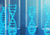 https://www.freepik.es/fotos-premium/ilustracion-3d-molecula-adn-su-estructura-concepto-genoma-humano_8284851.htm