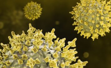 El coronavirus SARS-CoV-2 puede infectar las células de la cavidad oral