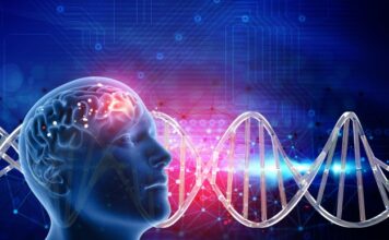 Un modelo tridimensional de músculo esquelético humano para la distrofia miotónica tipo 1 generado por bioingeniería
