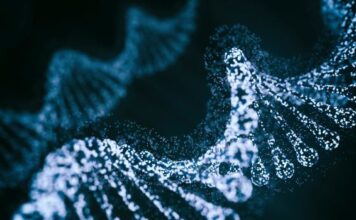 La nueva herramienta de edición de base CRISPR de Beam se enfoca en la mutación de células falciformes