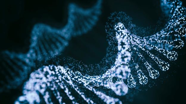 La nueva herramienta de edición de base CRISPR de Beam se enfoca en la mutación de células falciformes