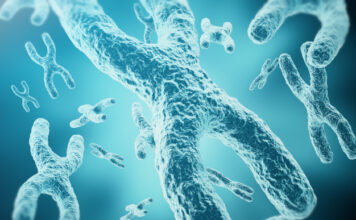 La regulación del splicing alternativo como terapia en la distrofia muscular de Duchenne