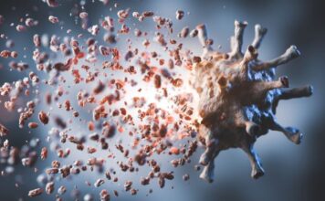 A medida que disminuyen los casos, los científicos trabajan para desarrollar una píldora anti-COVID-19 para variantes estacionales