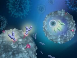 Desarrollan nuevos fármacos para combatir el COVID-19