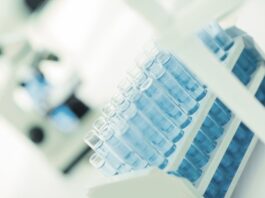 Ensayo muestra que la terapia reduce las convulsiones en el síndrome de Dravet y síndrome de Lennox-Gastaut