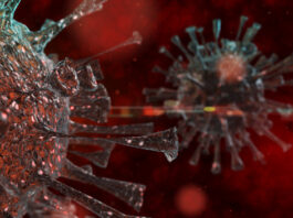 ProinVet Innovations y Biosidus trabajan conjuntamente en una terapia inhalatoria para enfrentar el Covid-19