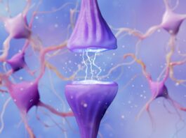 Rendimiento diagnóstico de las biopsias musculares en la población pediátrica: experiencia de un centro terciario