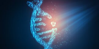 El cariotipo de próxima generación supera a la citogenética convencional para el pronóstico de la leucemia mieloide aguda