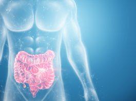 Hallan nuevas pruebas de la relación entre microbioma intestinal y enfermedades neurodegenerativas