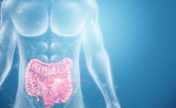 Hallan nuevas pruebas de la relación entre microbioma intestinal y enfermedades neurodegenerativas