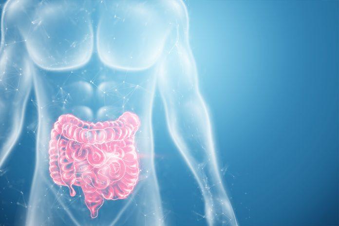 Hallan nuevas pruebas de la relación entre microbioma intestinal y enfermedades neurodegenerativas