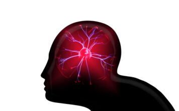 El modelo que utiliza señales cerebrales puede funcionar como un sistema de alerta temprana para las convulsiones