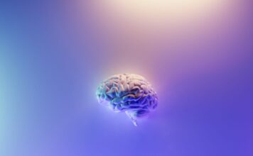 tDCS puede suprimir el apetito en el síndrome de Prader Willi