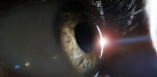 Una terapia optogenética recupera parcialmente la vision de una persona ciega