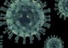 El virus mortal de Nipah se propaga por Asia