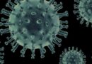 El virus mortal de Nipah se propaga por Asia