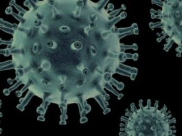 El virus mortal de Nipah se propaga por Asia