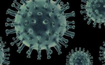 El virus mortal de Nipah se propaga por Asia