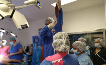 14 hospitales en México ya cuentan con acceso a donadores internacionales de células madre