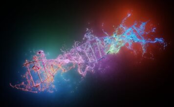 Alcyone Therapeutics está lanzando terapias génicas para trastornos del sistema nervioso central