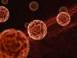 La ayuda está en camino con un análisis de sangre que puede detectar 50 tipos de cáncer