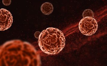 La ayuda está en camino con un análisis de sangre que puede detectar 50 tipos de cáncer