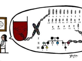 Nuevas recomendaciones para informar sobre hallazgos secundarios en análisis clínicos genómicos