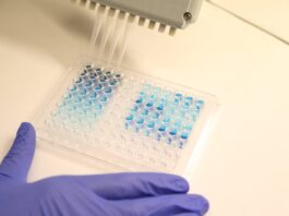 ‘Súper ensayos’ rápidos y baratos para detectar la malaria