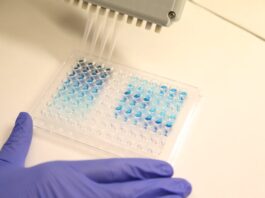 ‘Súper ensayos’ rápidos y baratos para detectar la malaria