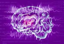 Técnicas computacionales para entender la epilepsia