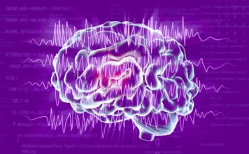 Técnicas computacionales para entender la epilepsia