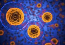 Una terapia génica restaura el sistema inmunitario en 48 niños con una enfermedad hereditaria